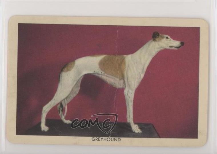Issue Greyhound 0s4