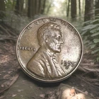 * 1955 S Lincoln Wheat Cent/ Penny ☆ FREE SHIPPING