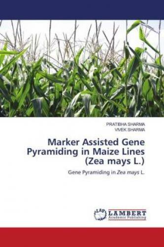 Thumbnail - Marker Assisted Gene Pyramiding In Maize Lines (zea Mays L.) Gene