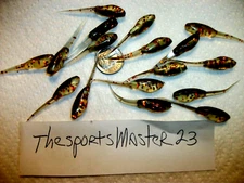 70-1 3/4"-Crappie-panfish-fish-soft minnow grubs-jigs-lures-scent-stingers-baits