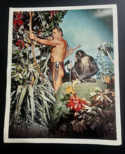 Tarzán Johnny Weissmuller raro 16,5 x 20 pulgadas  Póster Water World & Weismuller