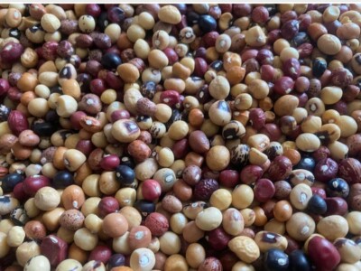 Bambara mixture bambara beans. 200g/$10, Shipping/$20, Phyto ...