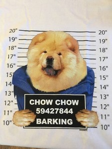chow chow small size