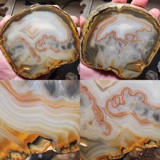 A A + + Brazilian Piranha Agate Plume Inclusions Banded 483g #9