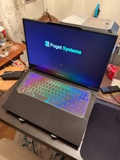 PUGET SYS CLEVO C170-G 14900HX RTX 4090 QHD 240Hz 64GB 4TB SSD Gaming Laptop W10