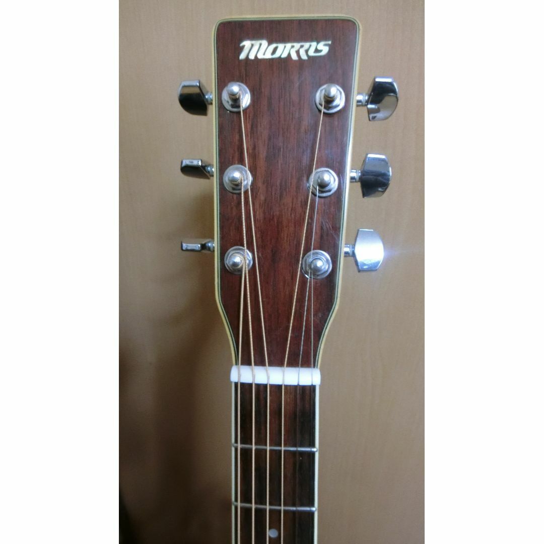 Electric Acoustic Guitar Morris MD-301N Natural Made in
