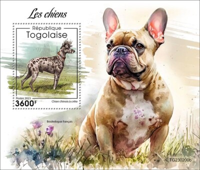 Dogs Chinese Crested Dog French Bulldog MNH Stamps 2023 Togo S/S
