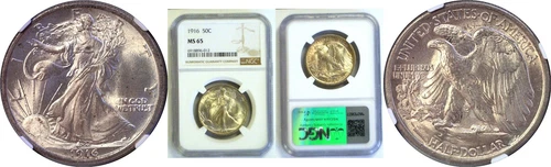 1916 50C Walking Liberty Half Dollar NGC MS-65
