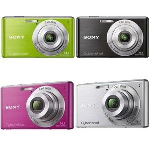 SONY Cyber-shot DSC-W530 Digital Camera 14.1 MP 4x Optical Zoom English Language