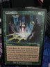 Land Grant The List Reprints Regular