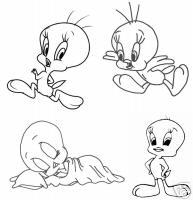 25 Tweety Malvorlagen Din A 4 Set 3 Ebay