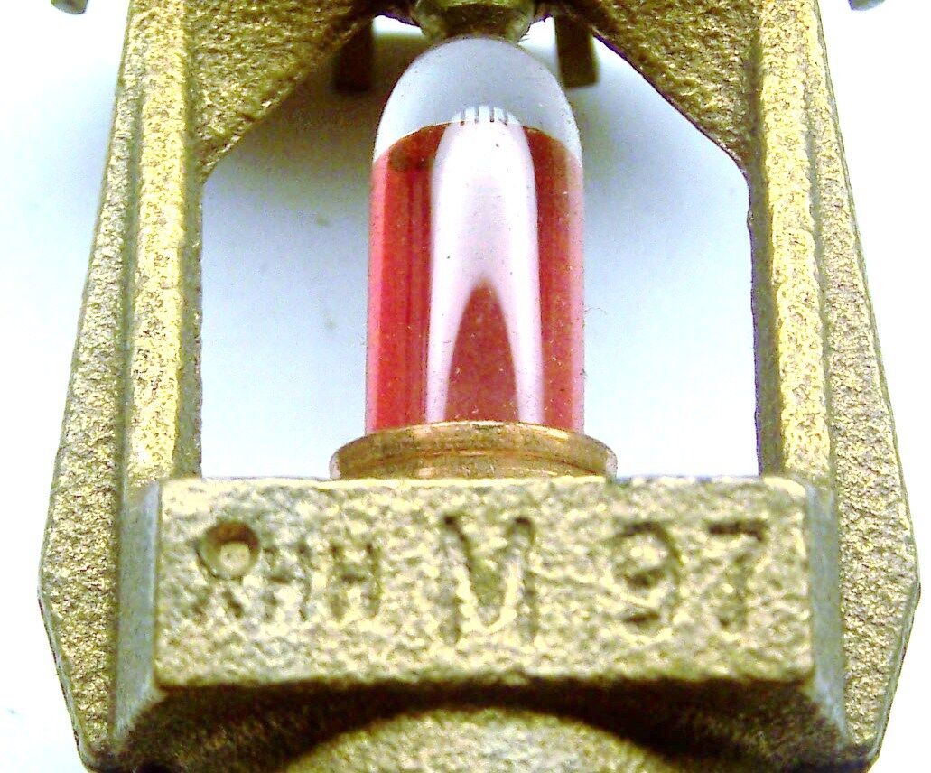 Foto 8 di 9