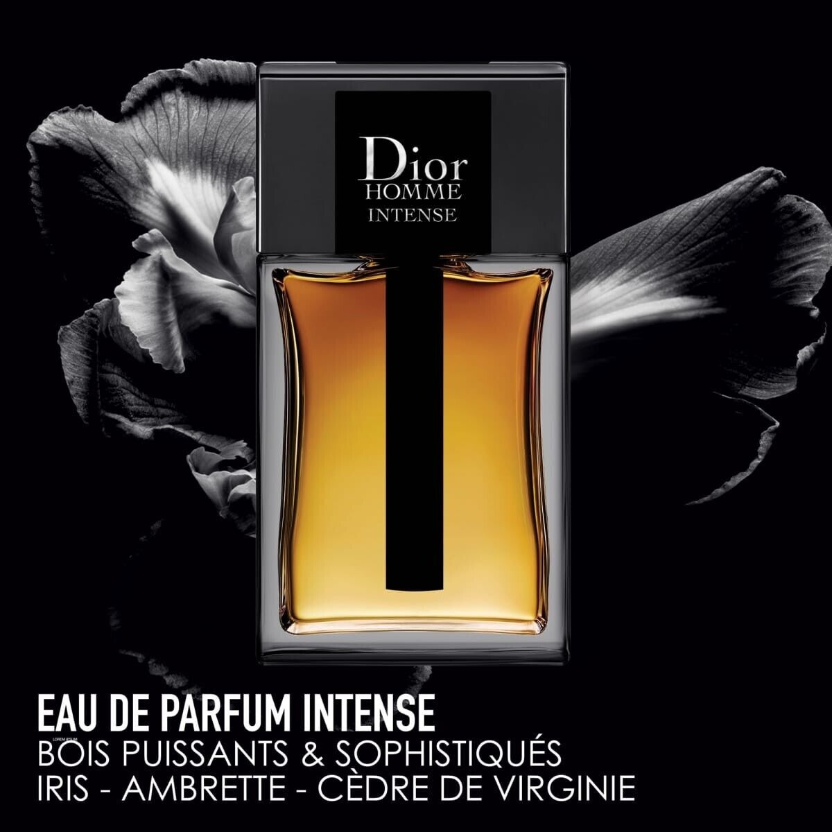 DIOR HOMME INTENSE EAU de PARFUM 5.0fl oz/150ml EDP New & SEALED