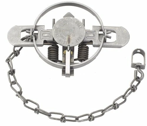 6 Duke # 1 1/2 Coil Spring Trap 0470  Raccoon Fox Mink Nutria Muskrat Trapping