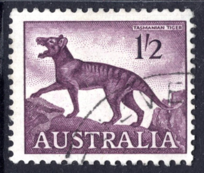 1959 Extinct Tasmanian Tiger Marsupial Australia BULK USED Lot x