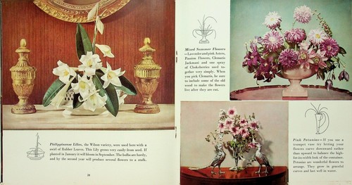 1940 COCA COLA FLOWER ARRANGING BY BURROUGHS IN ORIGINAL ENVELOPE - E17-C - Picture 13 of 16