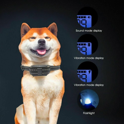 Anti bell Halsband Hunde Erziehungshalsband Ton Vibration Ferntrainer 1000M NEU - Bild 7 von 18