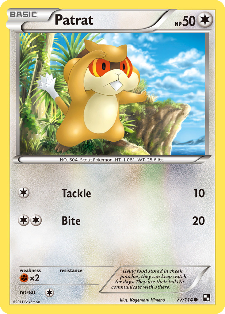 Patrat 77/114 Common | Black & White | Pokemon Card