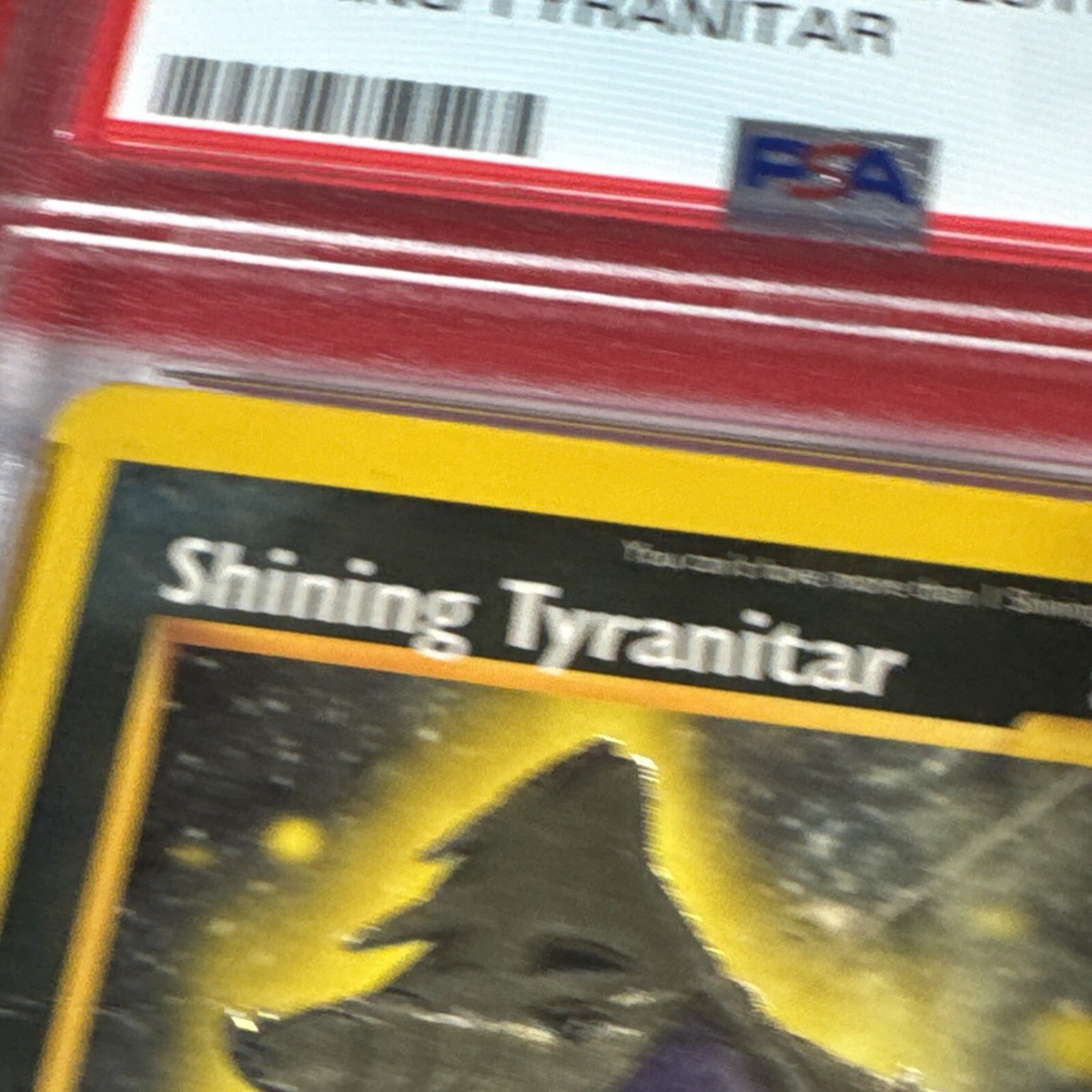 ポケモンカードゲーム　Shining Tyranitar 英語版 Shining Tyranitar Pokemon Cards Price Guide - Sports Card