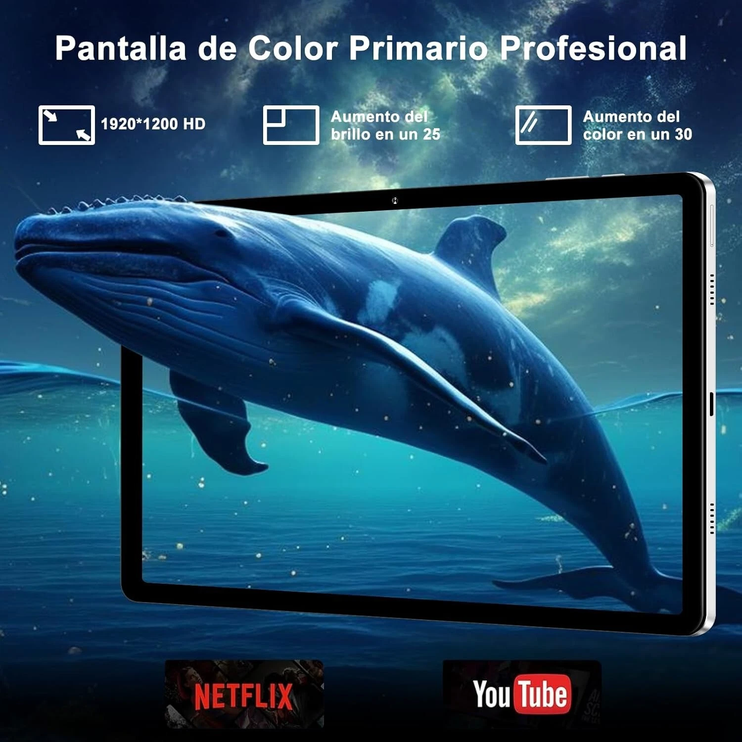 Imagen 4 de 5