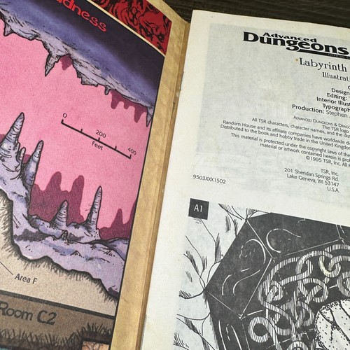 AD&D LABYRINTH of MADNESS D&D S6 TSR 9503 Monte Cook - Complete w/ DM Guide - Picture 7 of 9