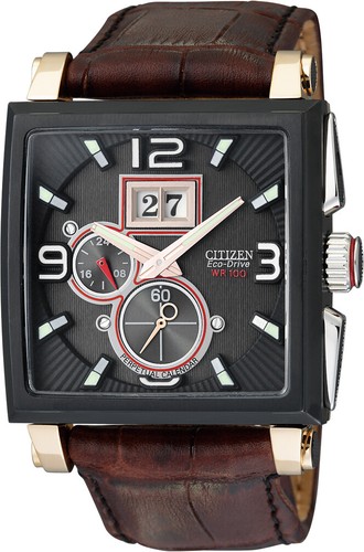 Citizen Eco Drive Perpetual Calendar 