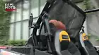 Video 1 of 1