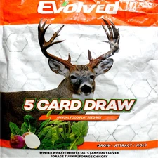 BULK BAG EVOLVED 5 CARD DRAW WHEAT OAT CLOVER TURNIP CHICORY DEER FOOD PLOT SEED