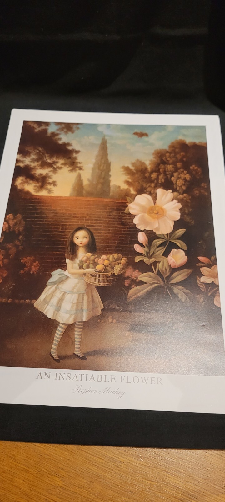 Picture 5 of 24