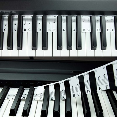 QMG Piano Keyboard Notes for Beginner, Removable Note Labels Black 88 Key 