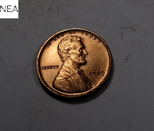 1909 VDB Lincoln Wheat Penny Cent ~ Gem BU Red ~ ZW206