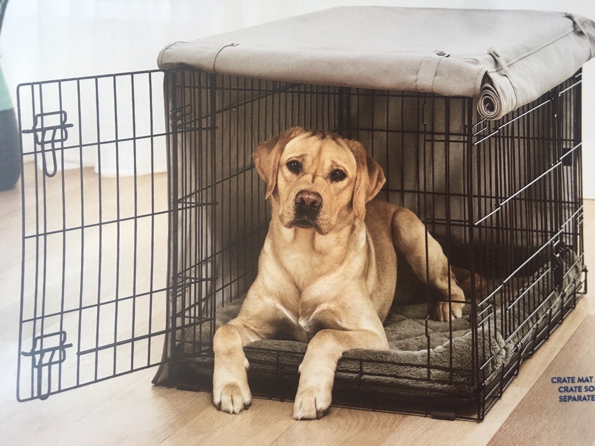 Wire Dog Large Dog Crate Petsmart Top Paw Petsmart Crate Pad Top