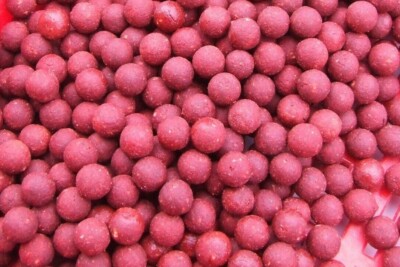 shelflife boilies carp,barbel,tench,bream,chub. 900g 15MM session pack 