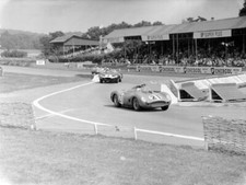 Giorgio Scarlatti Ludovico Scarfiotti Scuderia Ferrari Ferrari Din- 1959 Photo 1