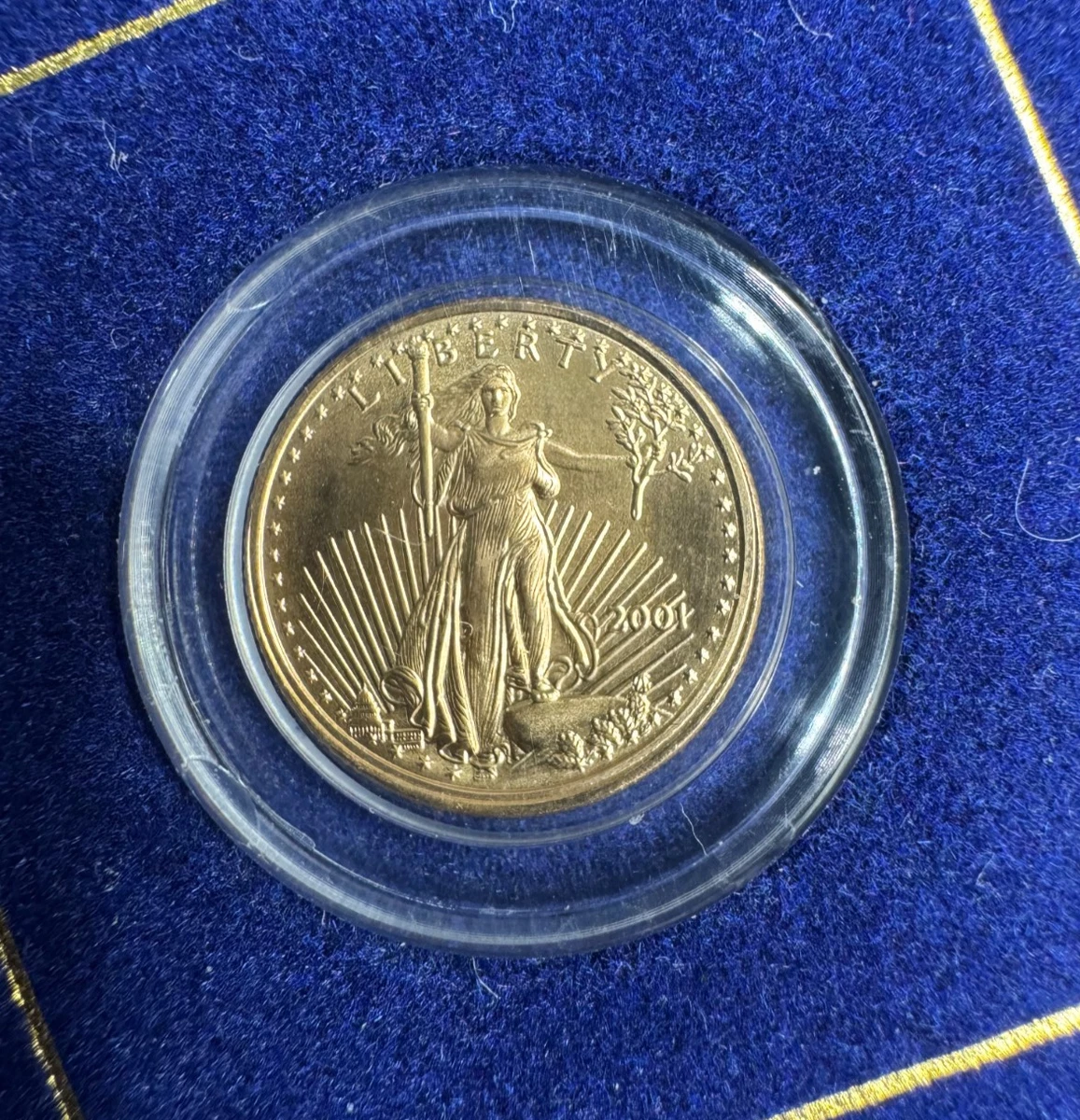 銀貨 米国 アメリカンイーグル 2001年　ゴールドカメオ Uncertified Gold Bullion 2001 for sale | eBay