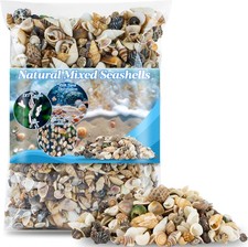 Tiny Seashells for Crafts - Small Sea Shells Mixed Ocean Beach Bulk...