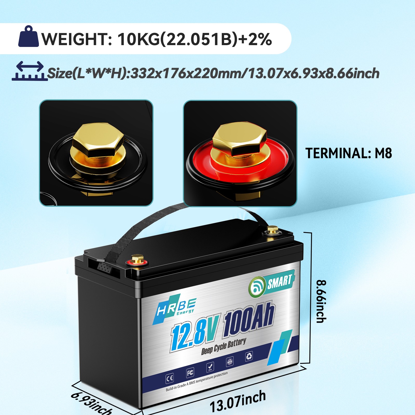 12V 100Ah LiFePO4 Lithium Battery Bluetooth monitoring For RV Solar Marine Panel