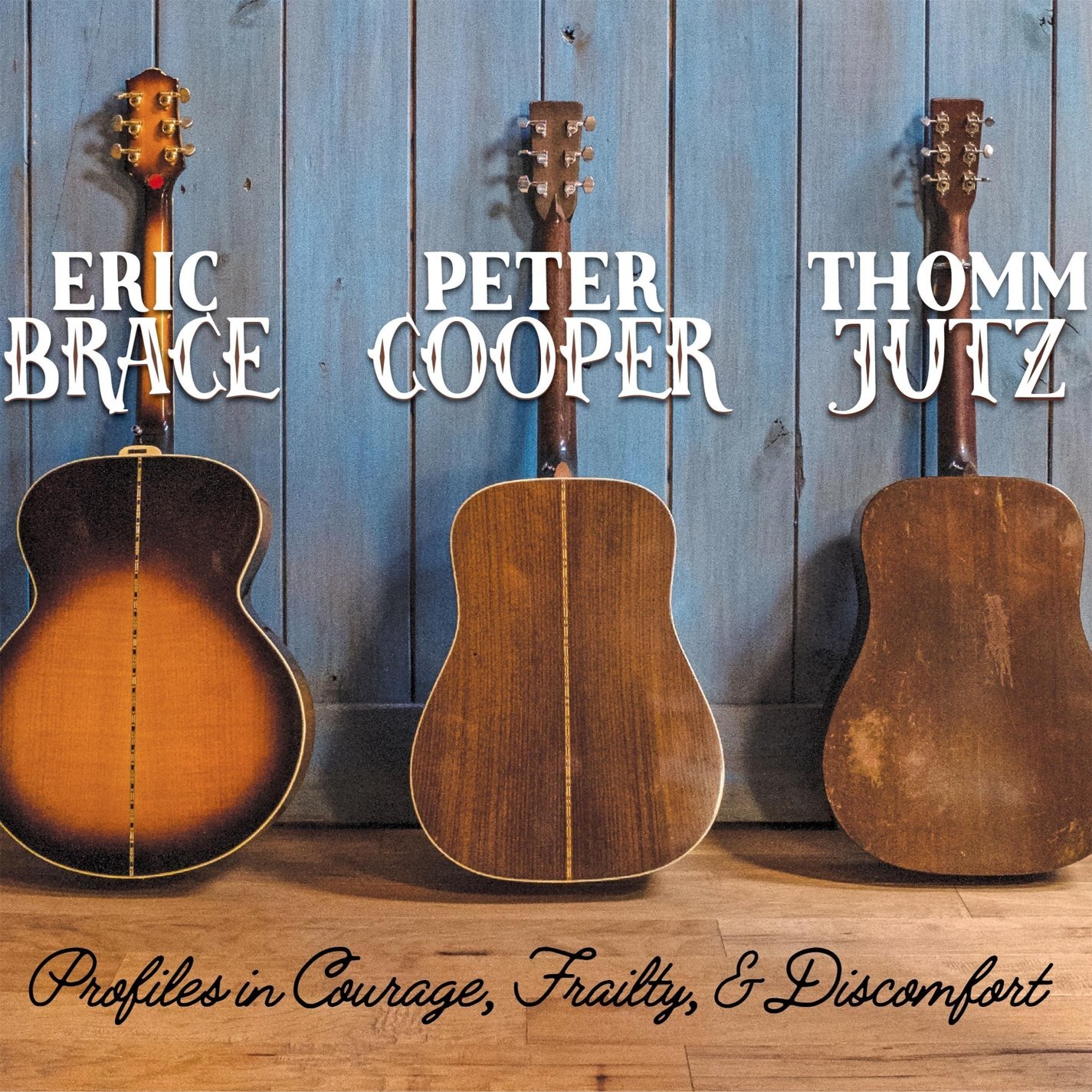 Eric Brace, Peter Cooper & Thomm  Profiles in Courage, Frailty, and Discom (CD)