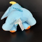 Picture 5 of 5