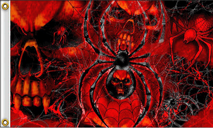 Imagen 1 de 1