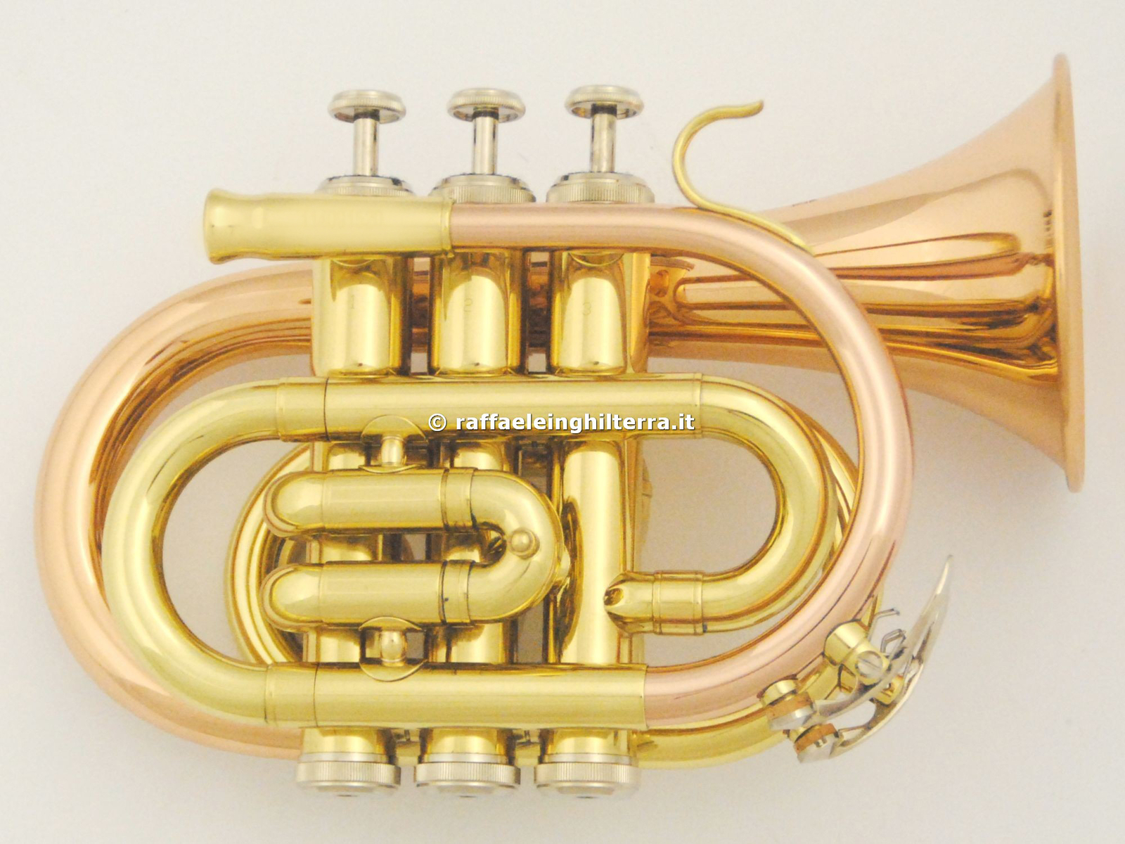 Roy Benson tromba sib pocket PT101G Laccata