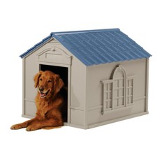 dog house for 2 large dogs