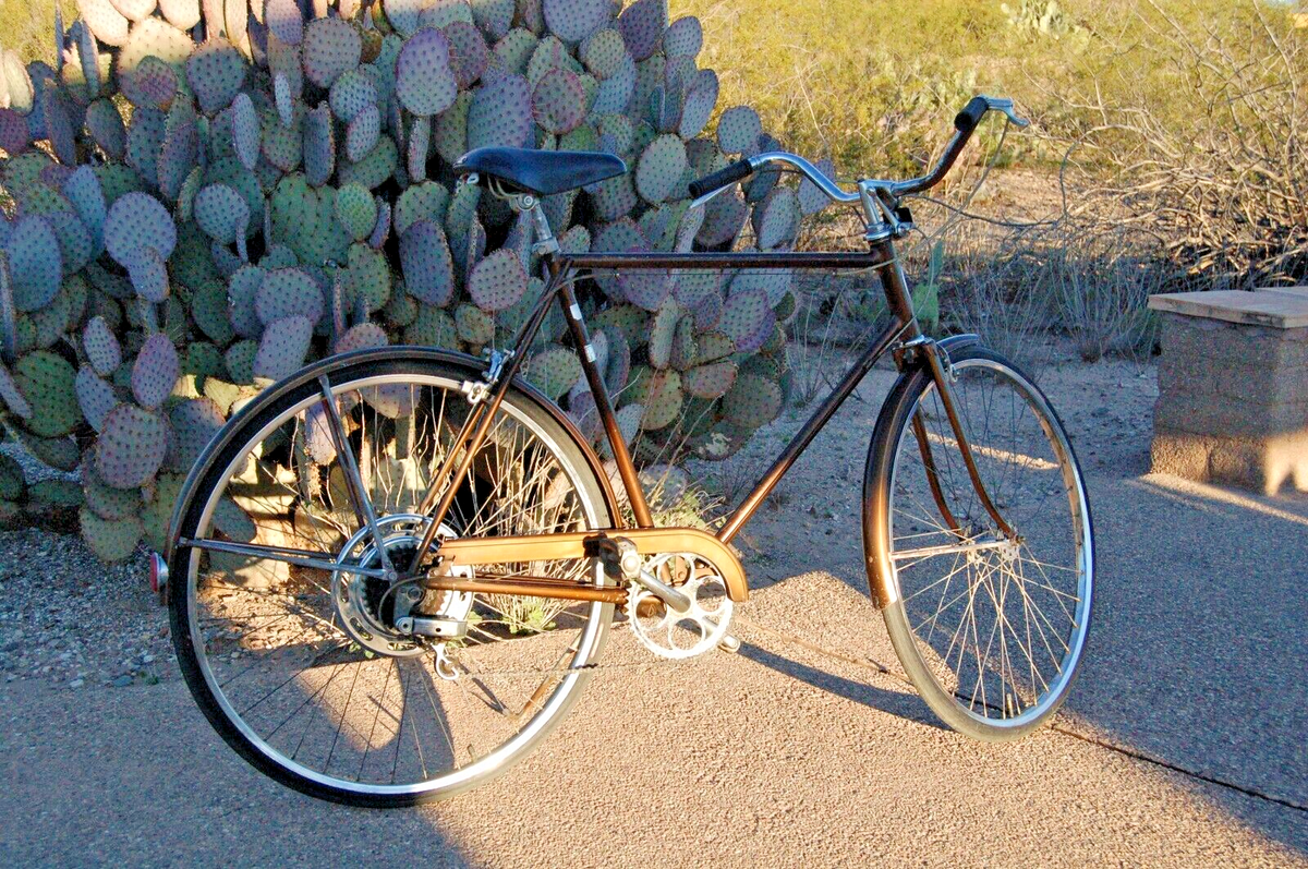 Schwinn Suburban 5spd 1973 vintage Chicago USA Chestnut brown