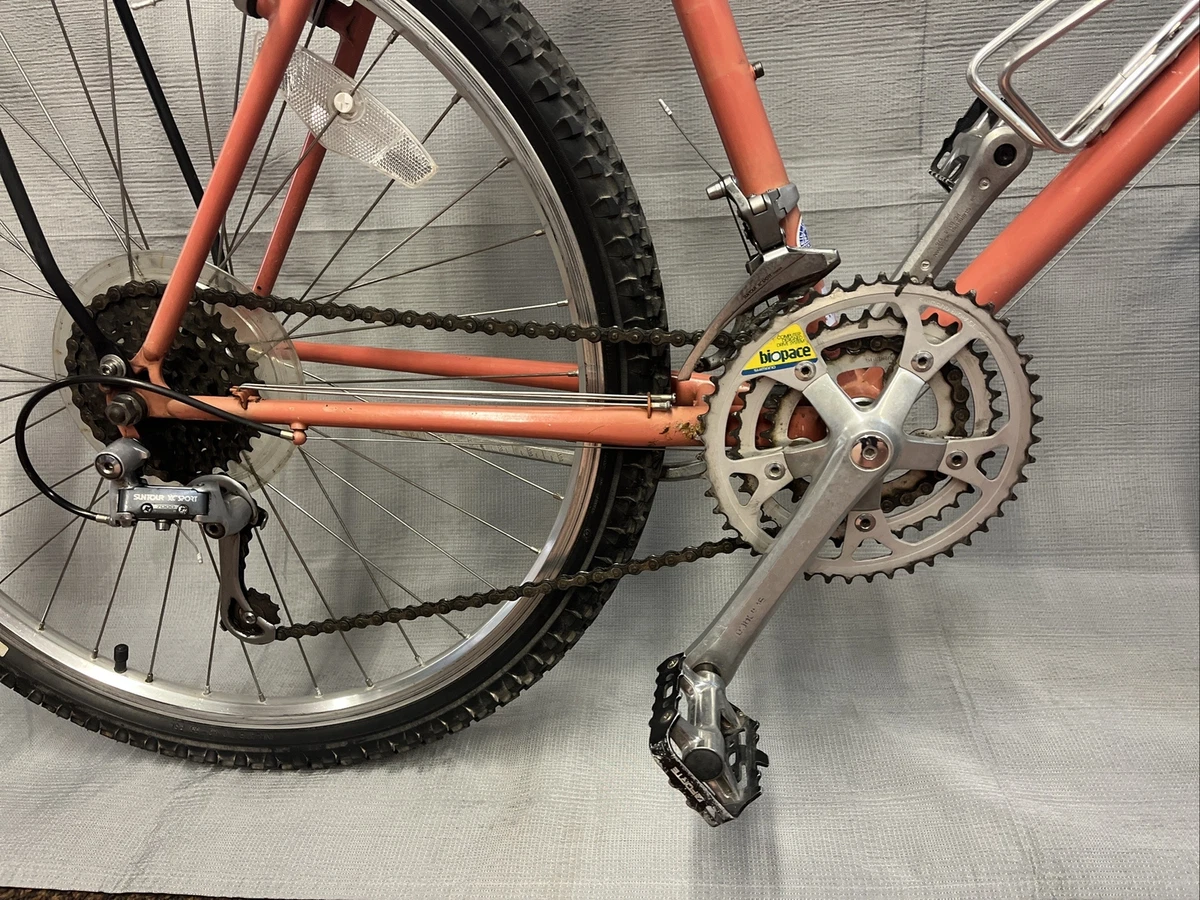 Raleigh seneca on sale mountain tour bike