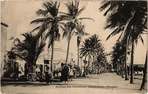 SÉNÉGAL - SAINT-LOUIS - Guet N'Dar. Avenue Dodds (nord) et Château d'Eau. - EDMOND FORTIER
