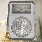 2014 American Silver Eagle — photo from another recent sale