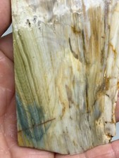 Gary Green Larsonite Caldera Jasper Rough Slab Cabbing Lapidary Reiki Chakra