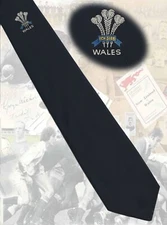 Wales -  100% Terylene - source unknown RUGBY TIE Wales
