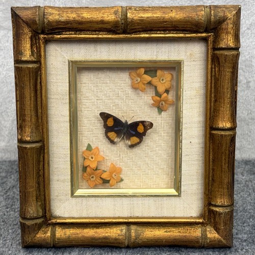 Vintage Butterfly Precis Westermanni Orange Flowers Gold Bamboo Frame MCM Decor