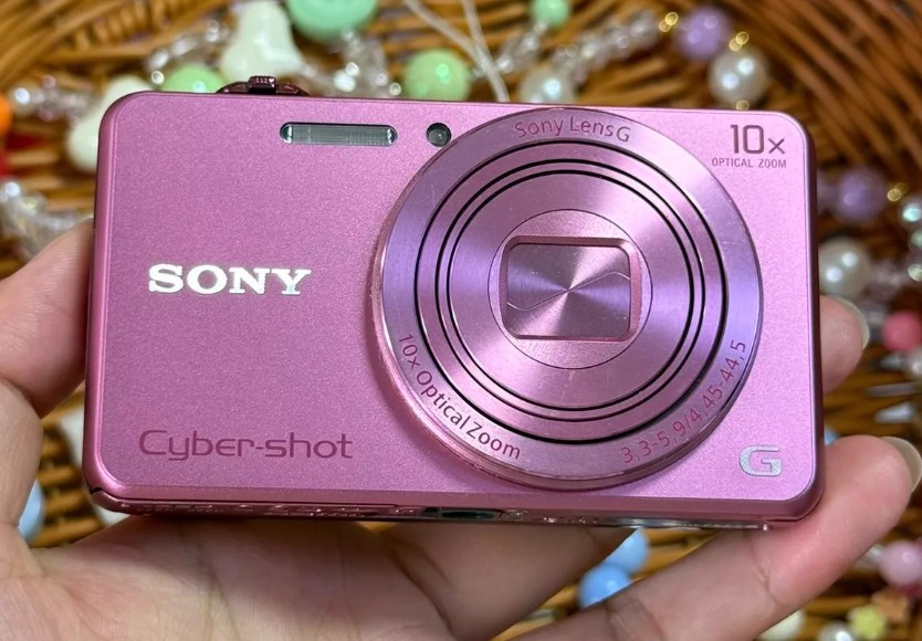 Sony Cyber-Shot DSC-WX220 18.2 MP Digital Camera 10X Optical Zoom Pink GIFT